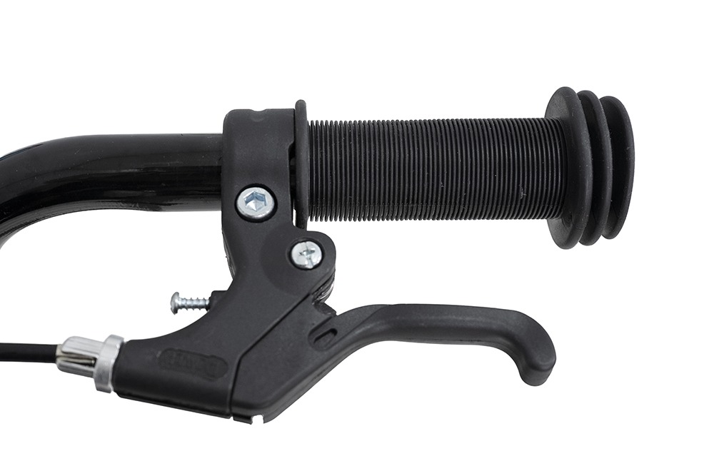 DSC03473-copia