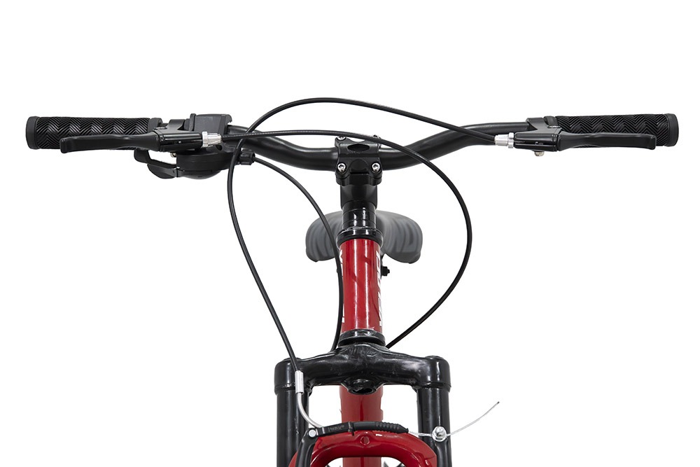 bici-39347-11