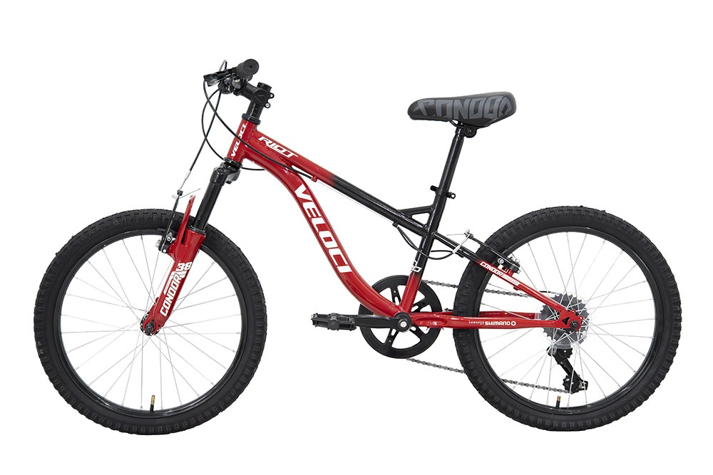 bici-39347-15