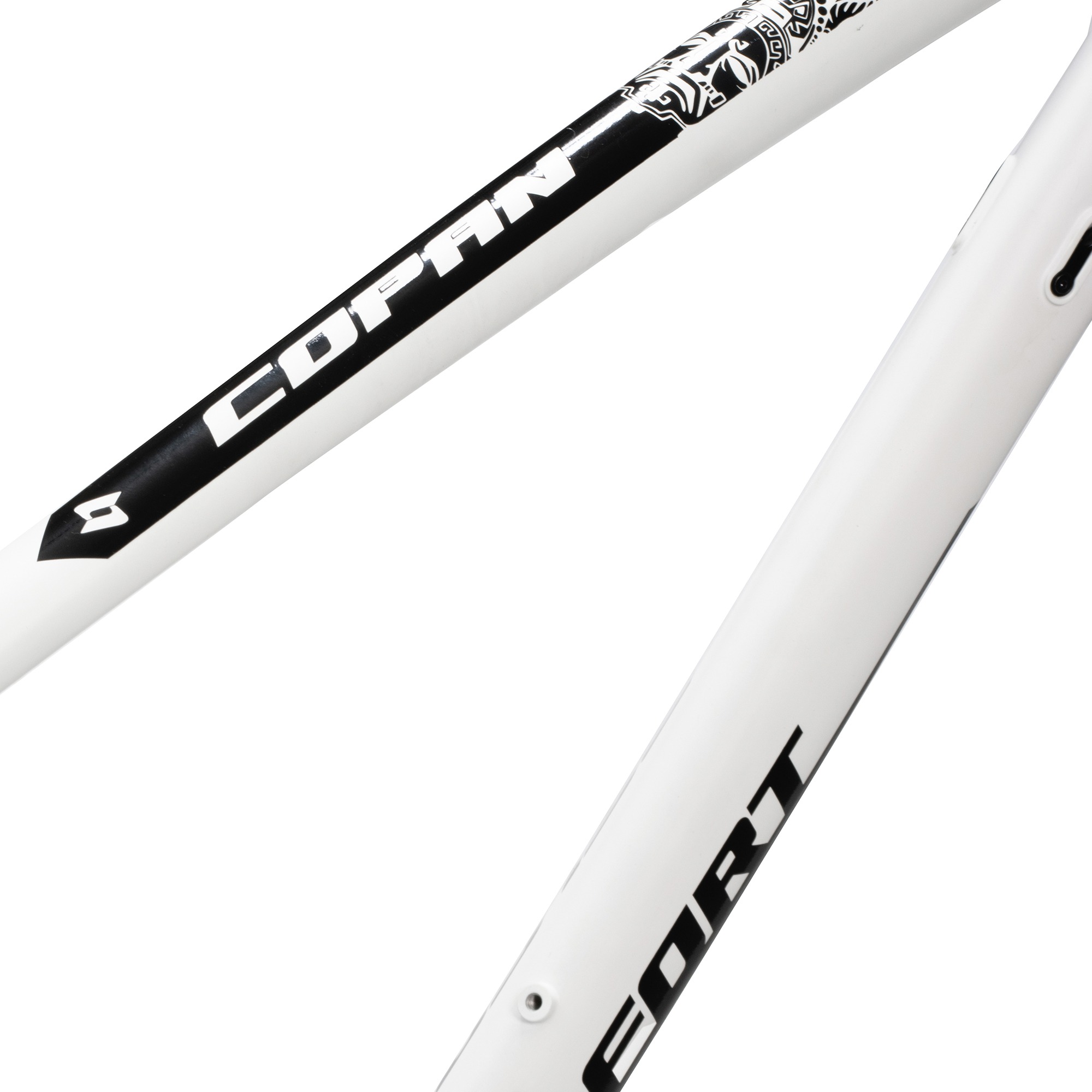 bici-41792-foto-13